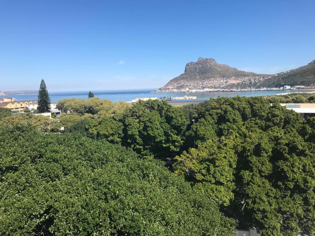 Ferienwohnung Chapman'S Peak, Loft Mit Sea-Und Mountainview Hout Bay Exterior foto